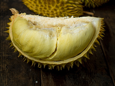 九游电竞平台基地展示二